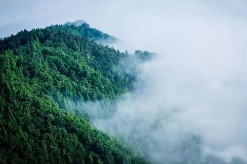行行攝攝日光山 在圖們小城的靜謐時光中尋訪山間仙境